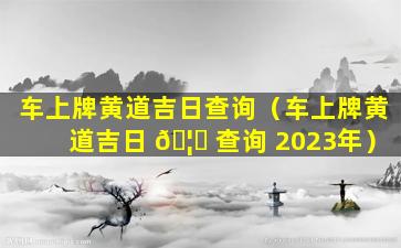 车上牌黄道吉日查询（车上牌黄道吉日 🦁 查询 2023年）